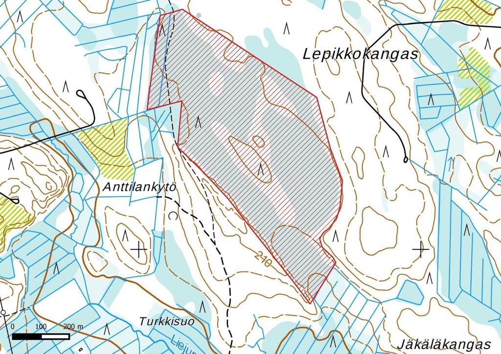 25 2.1.9. Lepikkokangas, Saarijärvi (Pylkönmäki) Sijainti Lepikkokangas sijaitsee Saarijärven kunnan länsiosassa, noin 8 km Pylkönmäen keskustasta luoteeseen.