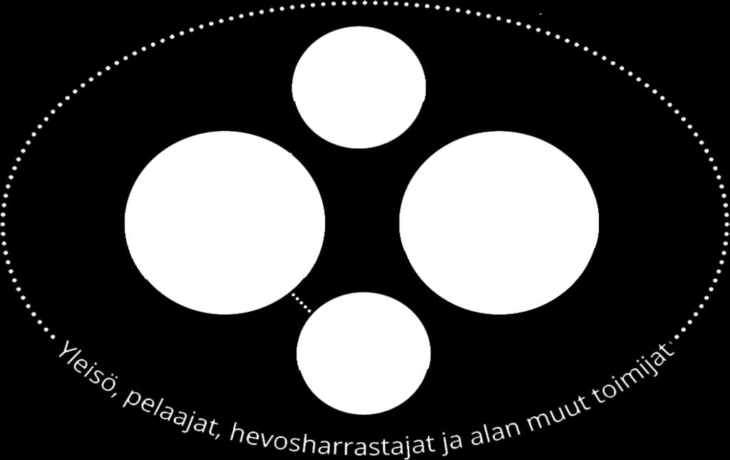 Toimintaympäristö SUOMEN HIPPOS RY Raviurheilun ja hevoskasvatuksen keskusjärjestö SUOMEN HEVOSURHEILULEHTI OY Hevosurheilun päämedia Suomessa Suomen Hippos ry:n tytäryhtiö RAVIRADAT Alueellinen