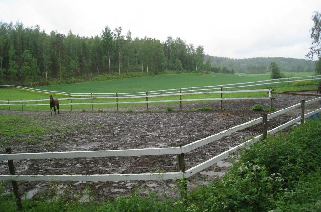 hulevedet laskevat peltoalueiden kautta Immersbybäcken puroon, joka puolestaan laskee