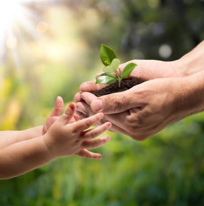 Luomuun liittyvät positiiviset asenteet ovat vahvistuneet ja saatavuus parantunut % 100 90 80 70 60 50 40 30 20 10 0 2011 2013 2015 On saatavilla kaupoissa, joissa asioi Voin luottaa kotimaisen