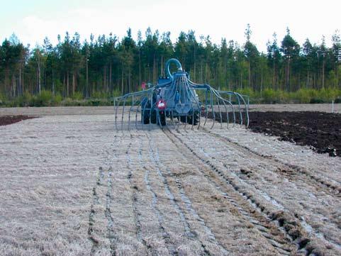 kustakin koeruudusta 2 x 1 m:n näytteet kylvörivistä. Kokeesta laskettiin rikkakasvit toisen kerran heinä elokuun vaihteessa väkilannoitteella lannoitetuista koejäsenistä.