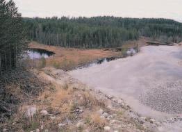 Alustavat kulutusennusteet ja lupamäärät 4 4.1 Kiviainesten kulutusennusteet ja lupamäärät Kunnat, Tielaitos ja Pohjois-Karjalan ympäristökeskus ovat keränneet kiviainesten kulutusennustetiedot.