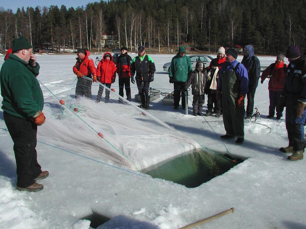 Talkoonuottaus on sosiaalinen tapahtuma,