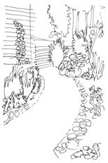 (Humulus lupulus) Keltakurjenmiekka Alba (Iris pseudacorus) Kuunliljat (Hosta) 1 Kultatuija Sunkist I III (Thuja occidentalis) 1 Syyshortensia