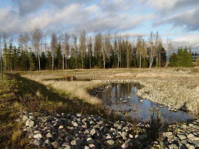 Viivyttäminen lammissa ja kosteikoissa Osumapuisto, Vantaa