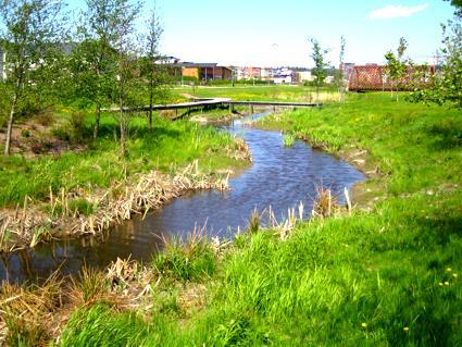 peltouomasta kaupunginosan puroksi