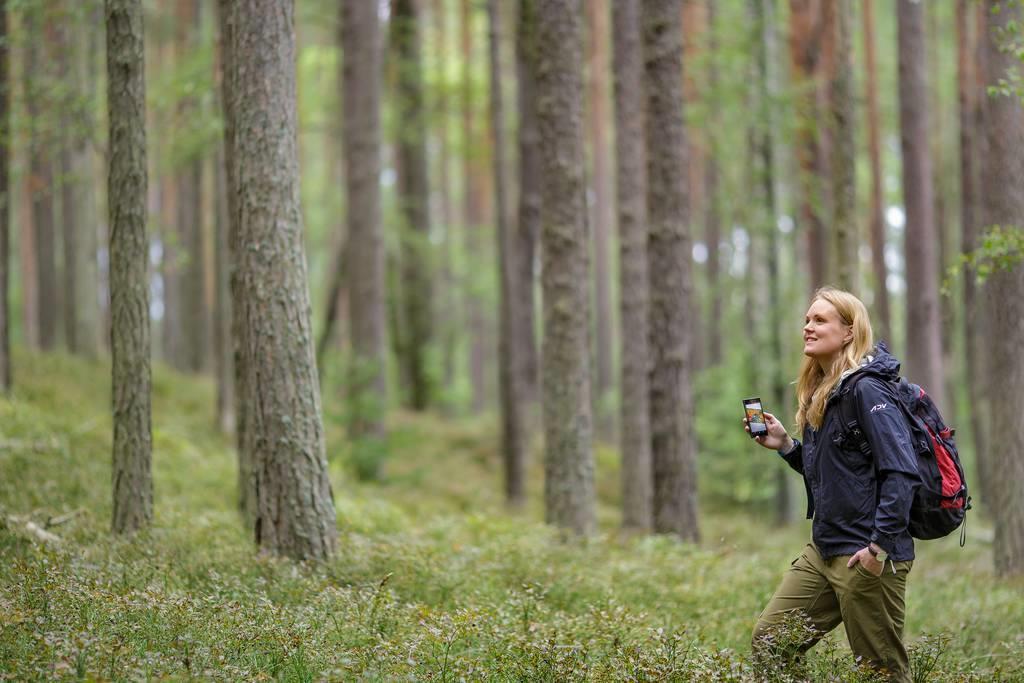 Kaikki, mikä tänään valmistetaan