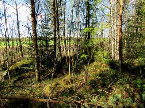 Voimalapaikka 2 kuvattu lounaaseen, matala kivinen kangas,