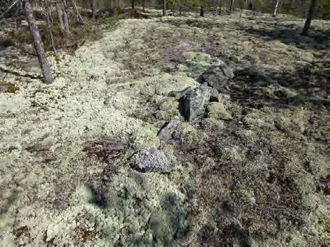 Keski-Pohjanmaan ArkeologiaPalvelu Kalajoki