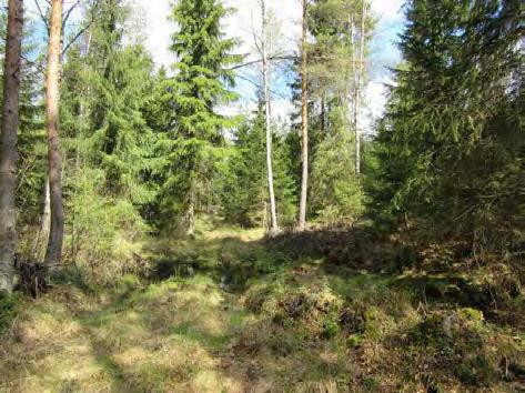 Voimalapaikka 8 kuvattu koilliseen.