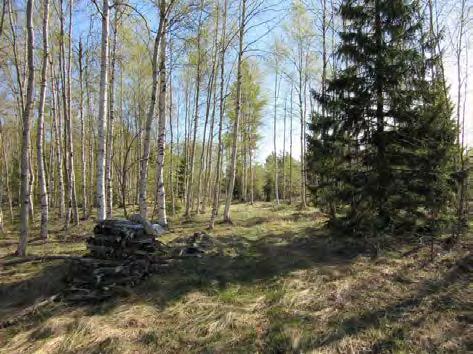 Keski-Pohjanmaan ArkeologiaPalvelu Kalajoki
