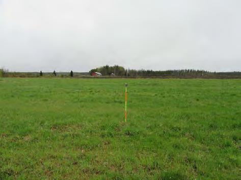 Tasainen ojitettu räme, harvennettua