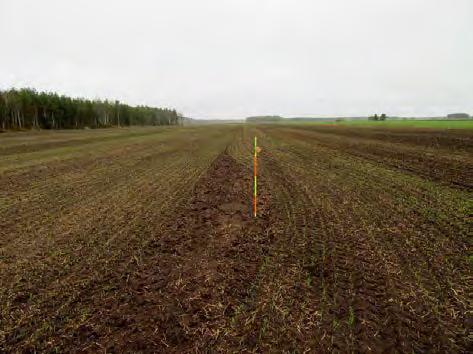 Voimalapaikka 18 kuvattu pohjoiseen. Tasainen suopelto. Kuva 31.