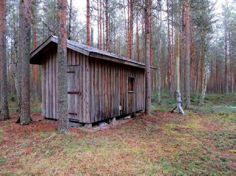 Voimalapaikka 20 kuvattu lounaaseen.