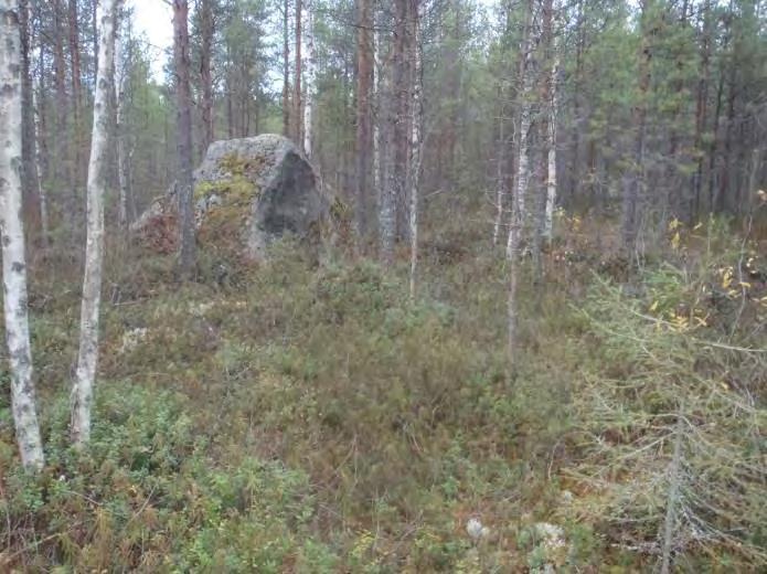 erityisen tärkeät elinympäristöt; EVT = Empetrum Vaccinium tyypin