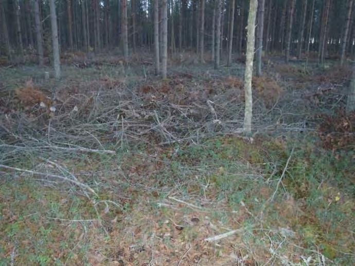 vääräväri-ilmakuva.