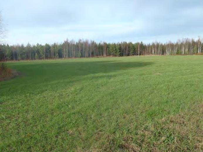 R-mu = rämemuuttuma; Pe = pelto. Kuva 16.
