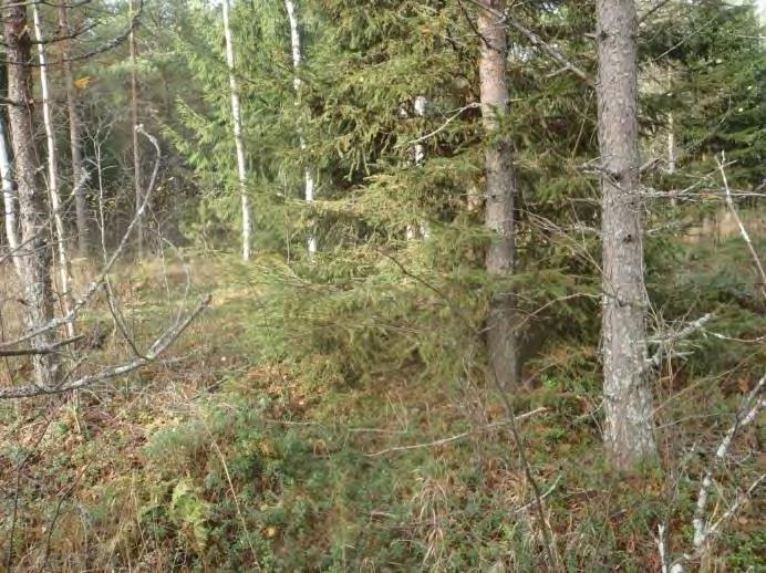vääräväri-ilmakuva.