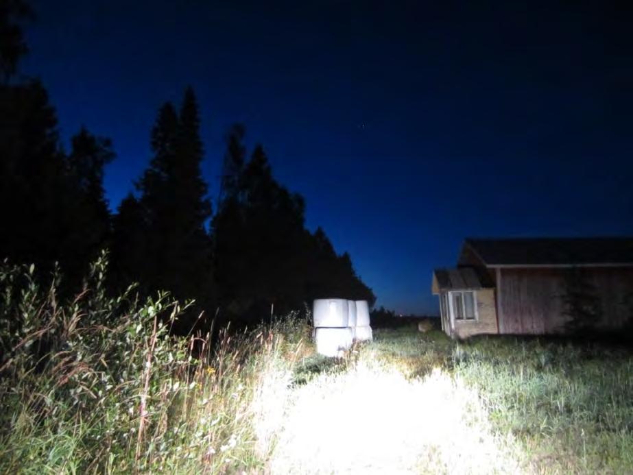 43 Kuva 5-3. Pohjanlepakon elokuinen saalistuspaikka (vuosi 2015). 5.6 Johtopäätökset Lepakoiden saalistusalueet saattavat sijaita kaukanakin lisääntymispaikoista.