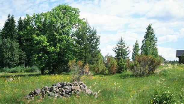 Luonnonmukainen tuotanto Sitoumuksen ulkopuolelle voidaan jättää lohkot, joilla myyntikasvien tuottaminen on vaikeaa (Ely-keskuksen