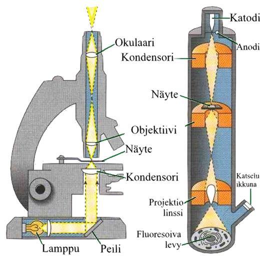 silmä Elektronimikroskopiaa varten kudos värjätään raskasmetalleilla: - Osmium tetroksidi, - Uranyl asetaatti - Lyijysitraatti Raskasmetallikertymä pysäyttää elektronit tumma kohta.