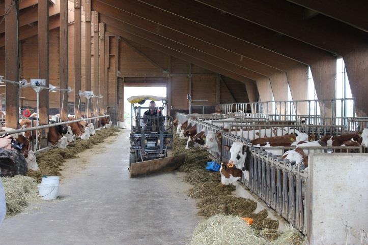 Keskimäärin lehmät käyvät kolme kertaa lypsyllä vuorokaudessa. Keskituotos 8700kg/lehmä, rasva 4,0 % ja valkuainen 3,4 %. Maidon hinta on 36-38snt/litra.