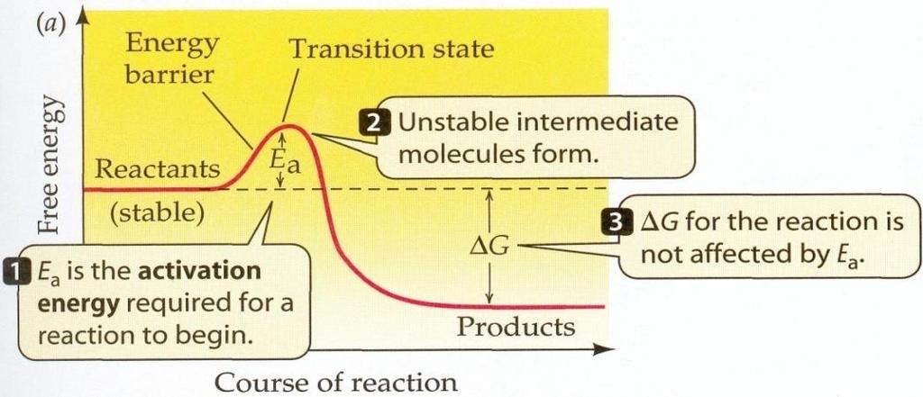 Kemialliset reaktiot Kun A, B, ainetta ajava entrooppinen voima ds T dn EN,, Esim.