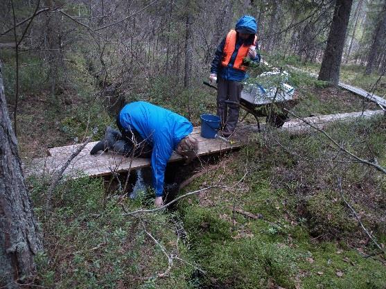 Näytteenottopaikan valinta: Järvessä edustavin vesinäyte