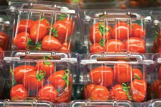Kumpaakin saa läpinäkyvänä, mattapintaisena tai ulkokäyttöön UV-suojattuna. PET-A sopii mainostauluiksi, näytetelineisiin sekä pakkauksiin. Sen voi myös silkkipainaa.