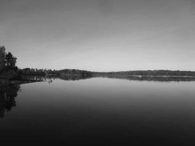 Tiistai aamupäivän sauvailut talvi/kevät 2017 Ajalla 17.01-23.05.2017 ja 08.08-05.12.2017. Lähtö klo 10.00 Impivaaran jäähallilta Eskonkatu 1. Kesto noin 1h + alku- ja loppujumpat. Omat sauvat mukaan.