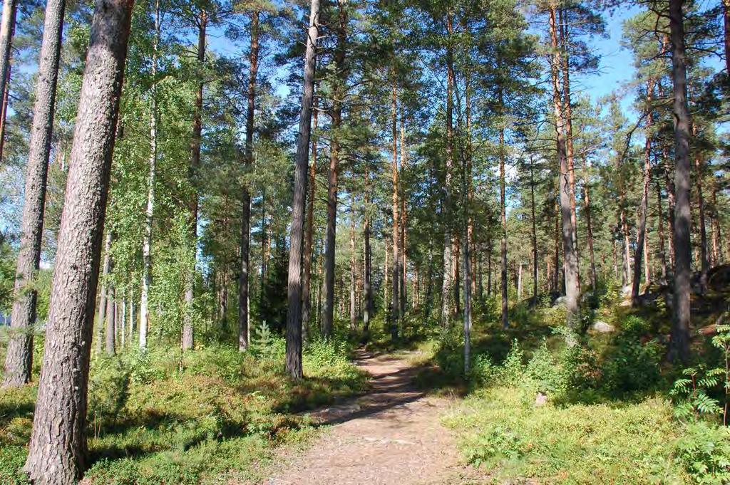 214005185 7 Ympäristökeskus Kuva 3 Kuva kaava-alueen kaakkoisreunalta kohti luodetta.