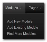 Uuden moduulin lisääminen sivulle Sivulle lisätään uusi moduuli napauttamalla sivun yläreunan Modulevalikosta Add New