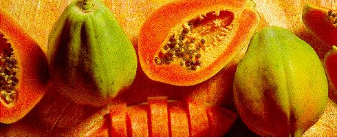 Alumiinin torjuvia lajikkeita kehitetään Hedelmähapot (sitruuna-, omena- ja päärynähappo) sitovat Al-ioneita Muuntogeeninen papaija, riisi ja maissi erittävät