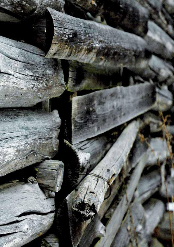 TEHTAANMYYMÄLÄ MYYMÄLÄSSÄ KATTAVA VALIKOIMA TEHTAAMME TUOTTEITA. meiltä löydät erikoistuotteita mm. poronlihasta, säilykkeitä, matkamuistoja ja lahjatavaraa. Paljon tehtaaneriä ja tarjouksia.