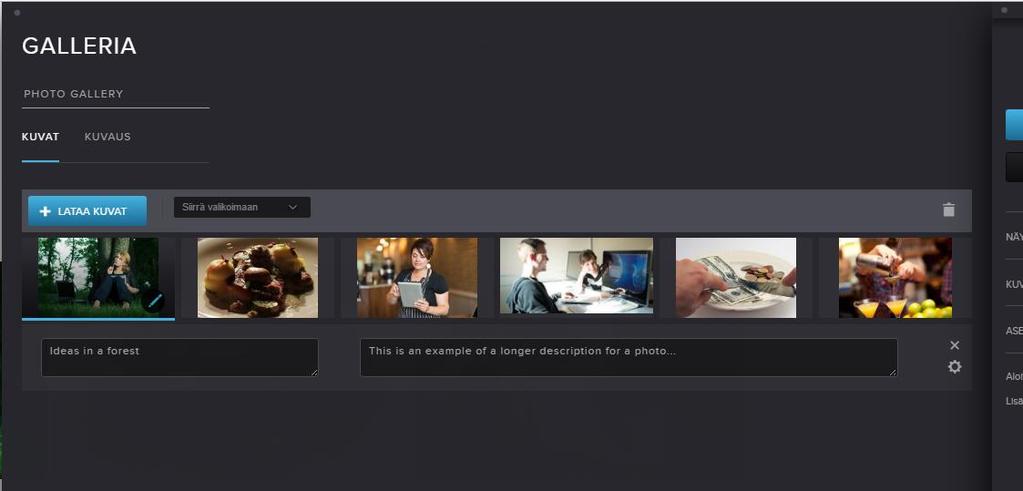 Otsikon ja kuvauksen lisääminen valokuville (2/2) Kirjoita lyhyt otsikko