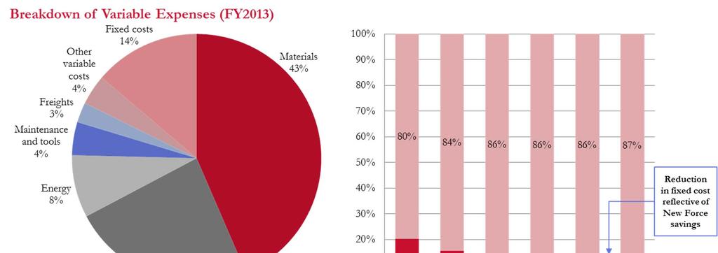 Flexible Cost Structure