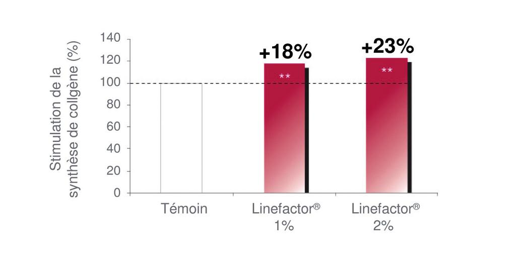 LINEFACTOR on kiinnostava ikääntymisen merkkejä vastaan taisteleva ainesosa koska se säilyttää FGF-2 pitoisuudet matkimalla tiettyjen proteoglykaanien toimintoja soluväliaineessa.