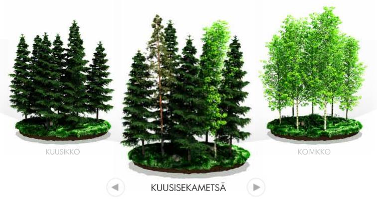 Viimeisessä laskurin vaiheessa käyttäjälle kerrotaan mm. metsän tuottolaskelman sekä hiilensidonnan (ks.