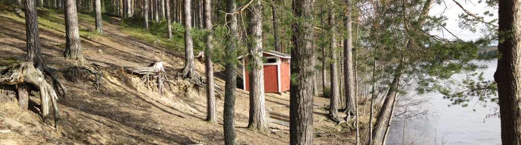 55 seen reitistöön, joten polua ei ole siltä osin valaistu eiä atettu purulla. Maaperän ulumista on myös lähellä Lossinrantaa (Kuvio 9.) jyrään rinteeseen sijoitetun uimarannan ympäristössä.