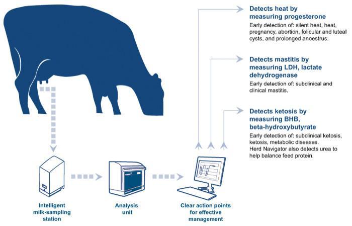 Herd Navigator (DeLaval) http://www.delaval.