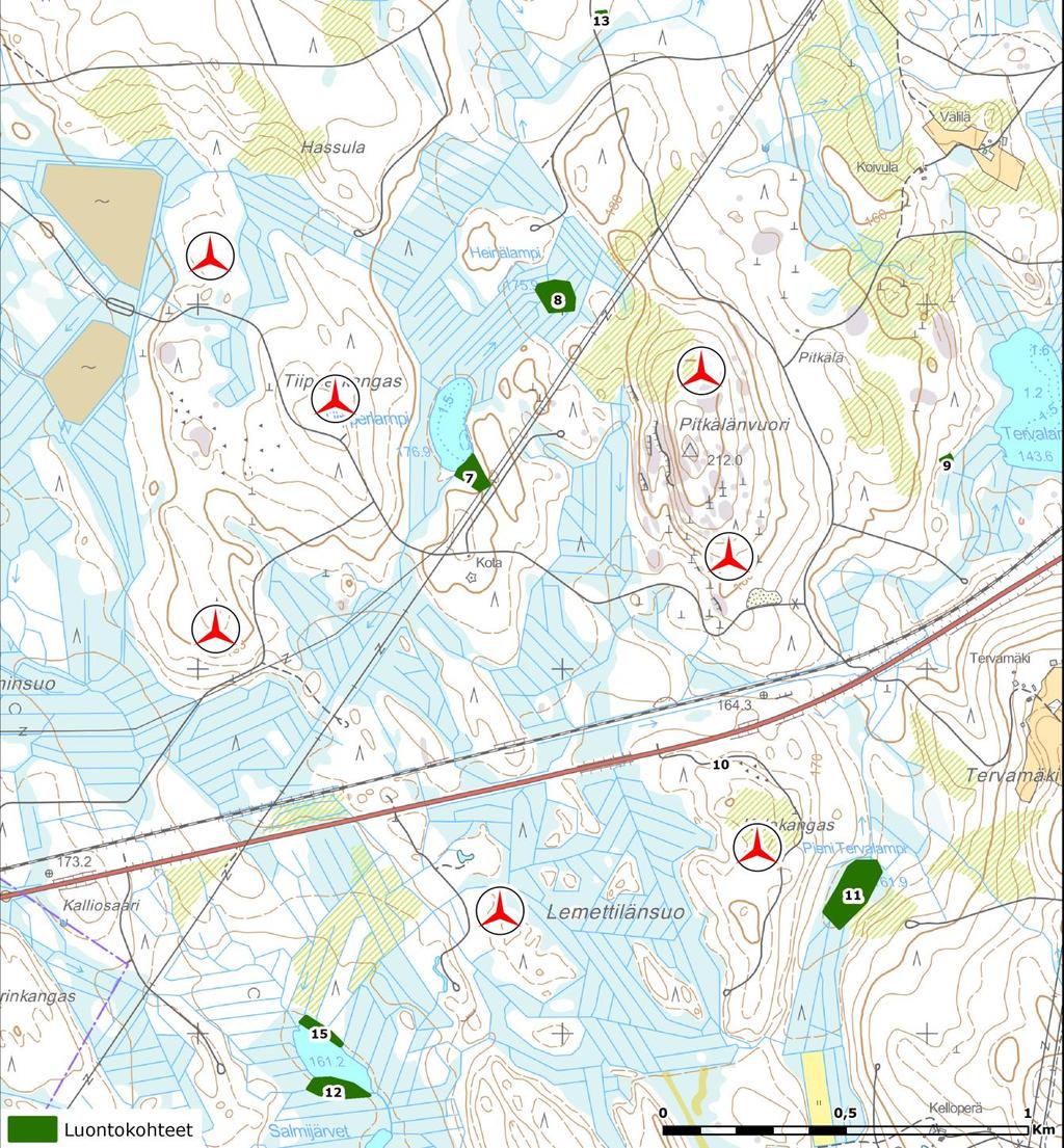 19 (83) 12 Salmijärven tupasvillakorpi Tupasvillakorpi (EN, koko Suomi EN). Pieneveden reunametsänä ja puustoisena suona mahdollinen METSOkohde (puustoinen suo, METSO-luokka II).