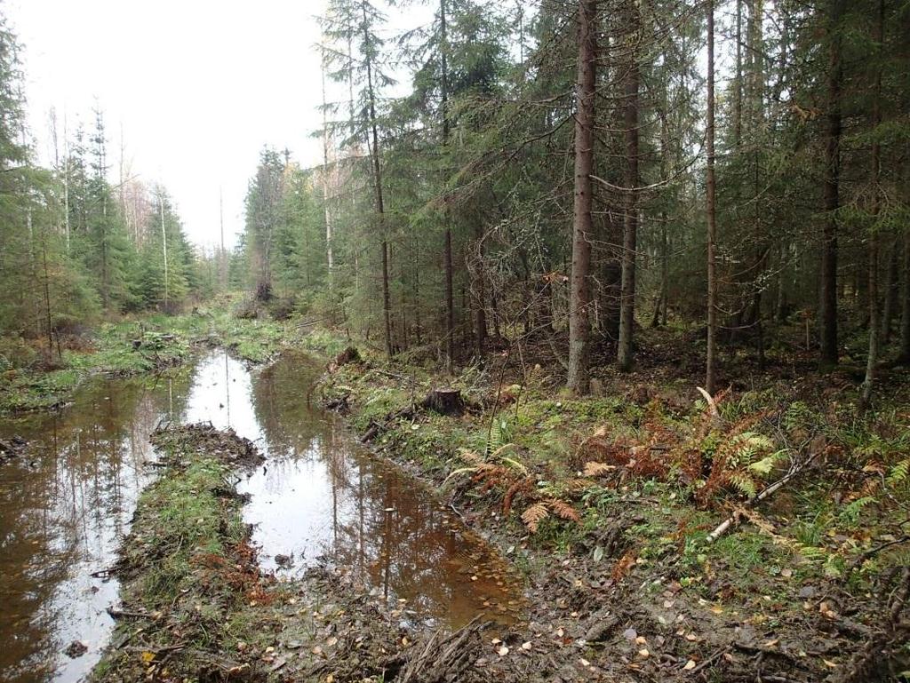 10 Moreeni- ja kalliomuodostumien