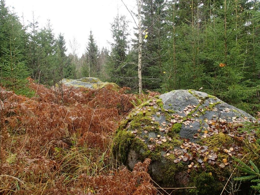 vetisiä Lohkareista ja paikoin hyvin