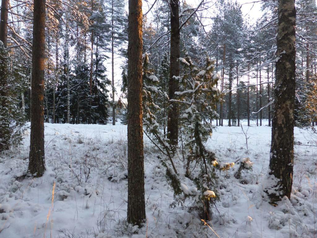 7/11 valokuvia ympäristöön tukiaseman