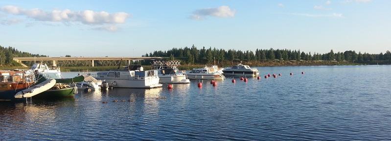 Toiminta-ajatus Etelä-Savon elinkeino-, liikenne- ja ympäristökeskus edistää alueellista