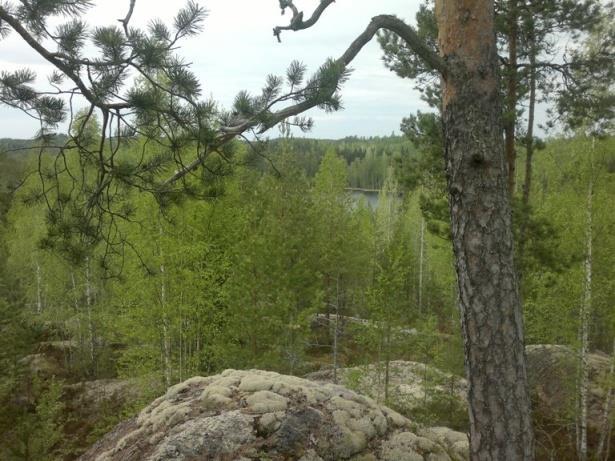 Metsien, soiden ja lajien suojelu turvaavat luonnon monimuotoisuutta Toiminnan tulokset Palvelut, suoritteet ja hankkeet 2017 Natura 2000-alueiden, perustettujen luonnonsuojelualueiden sekä kaavojen
