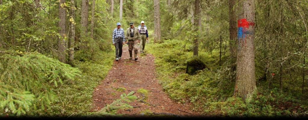 Ilovuori Lähimetsän poluilla Upeista vanhoista metsistään tunnettua Ilovuoren 62 hehtaarin aluetta voi hyvällä syyllä kutsua Keuruun tärkeimmäksi virkistysalueeksi.