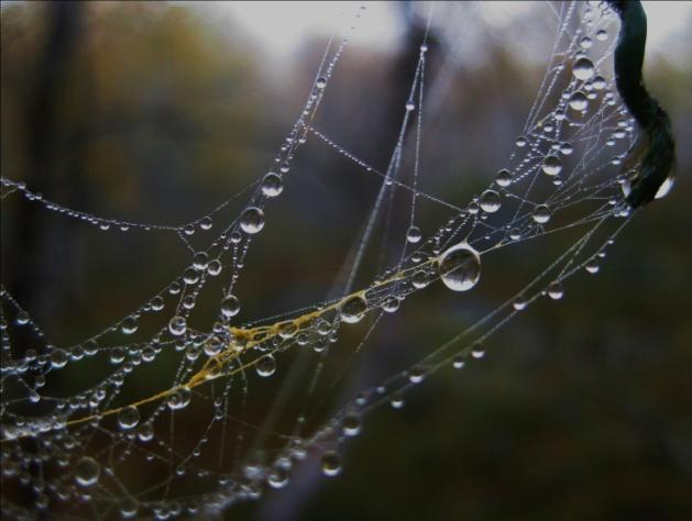 Kokeilen erilaisia materiaaleja yhdistellä villalangan kanssa, että saan pinnasta kuvissa näkyvää ohutta, herkkää viivaa. Vieressä olevat kuvat ovat olleet innoittamassa minua.