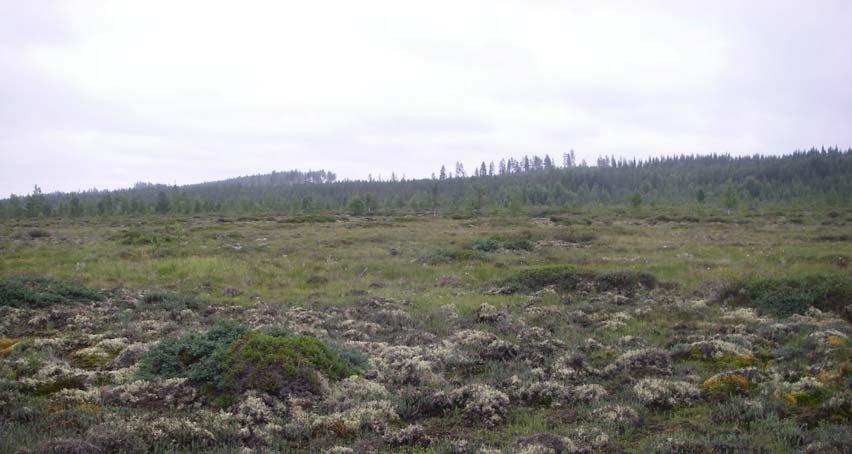 Tohmajärvi