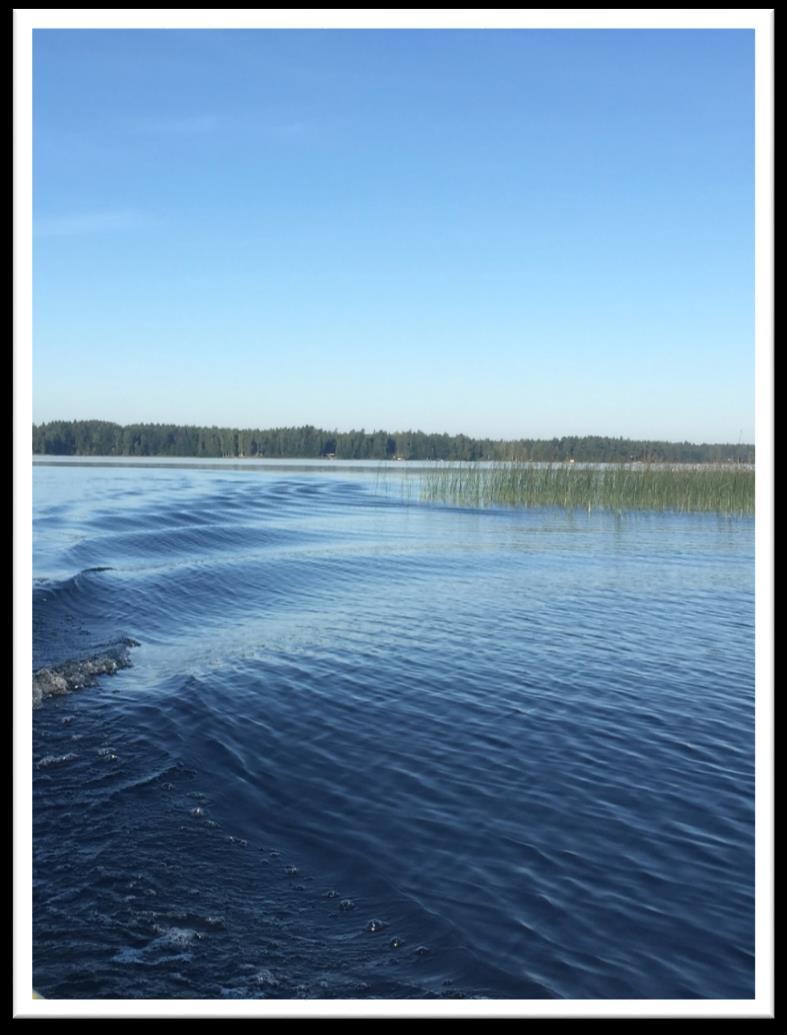 Osa kalastajista myy saaliinsa tukkukauppiaille, osa jalostaa saaliinsa itse ja myy myös suoraan kuluttajille. Pääasiallisimmat jalostustavat ovat savustus ja graavaus, sekä erilaiset kalamarinadit.